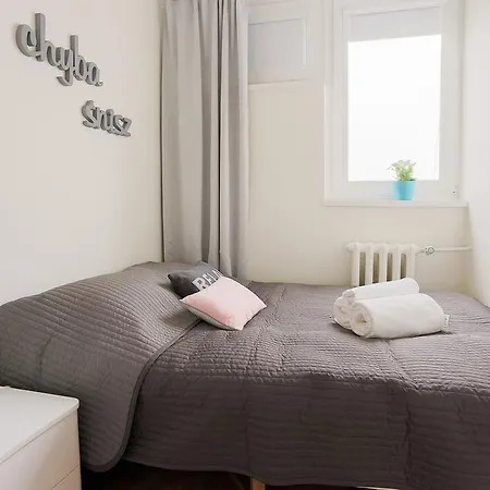 Cohen Apartment